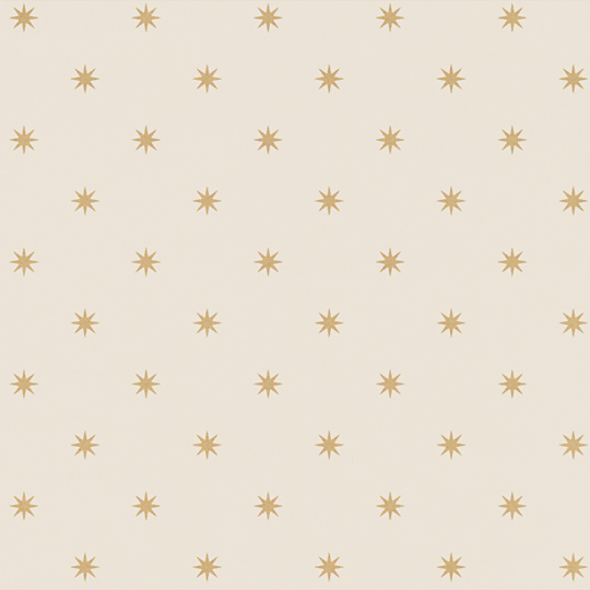 包装紙 ステラ ホワイト