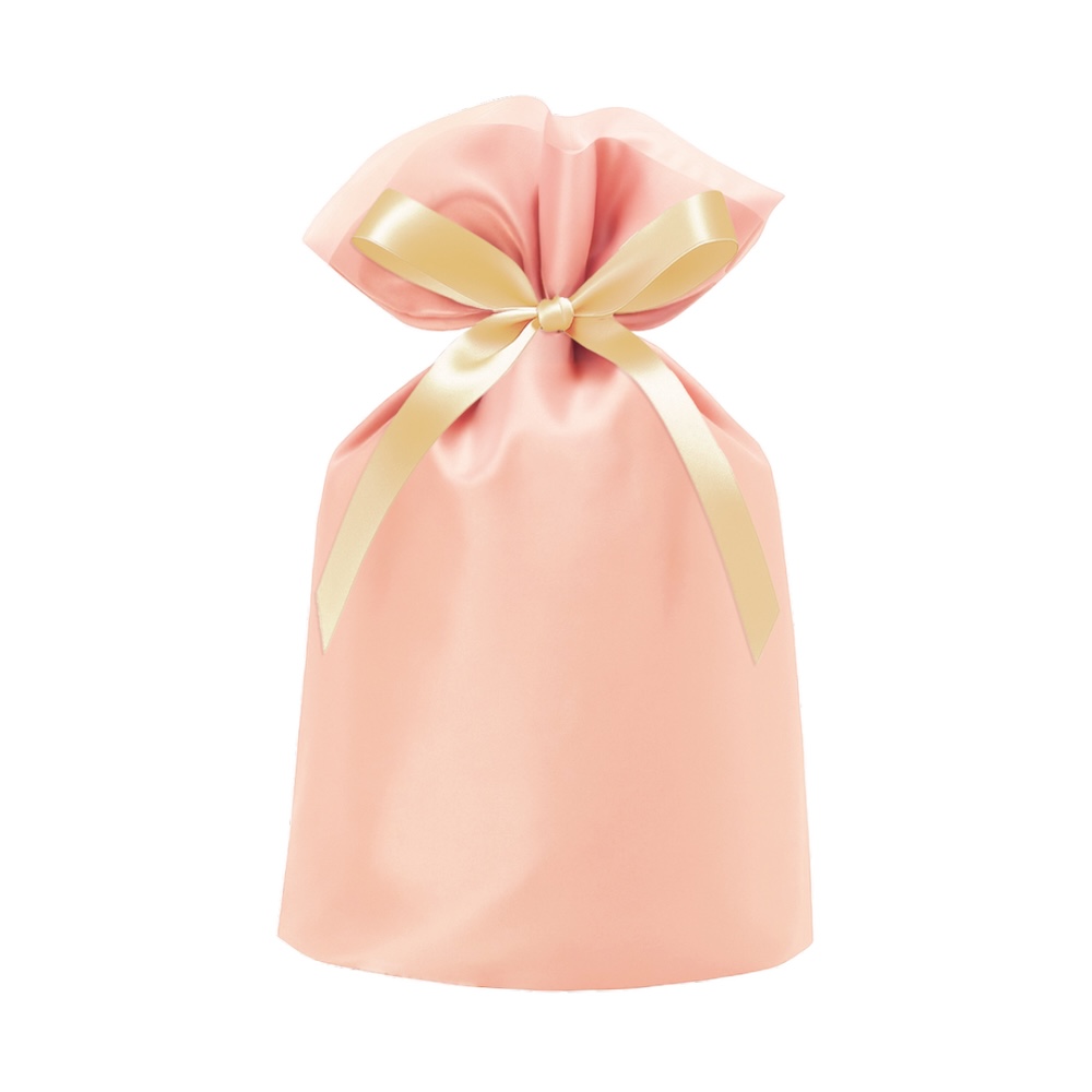 オーガンジーバッグ ピンク 190