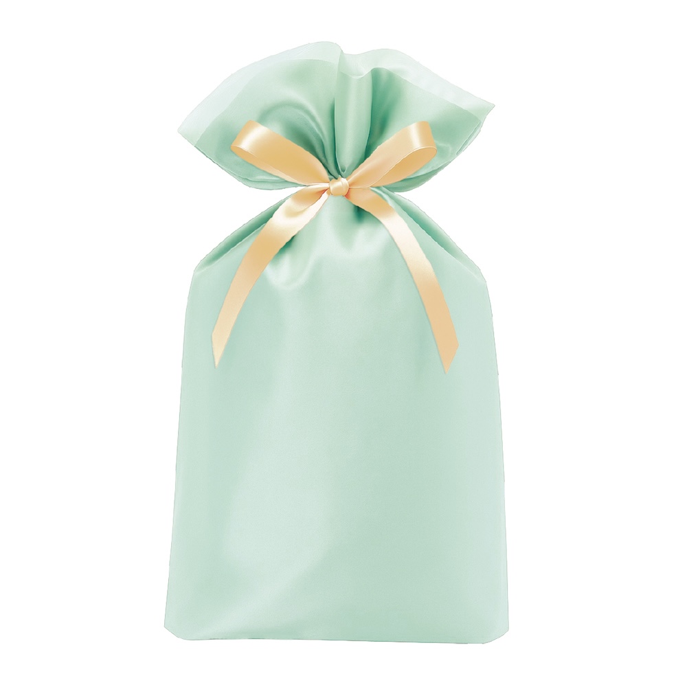 オーガンジーバッグ ブルー 290