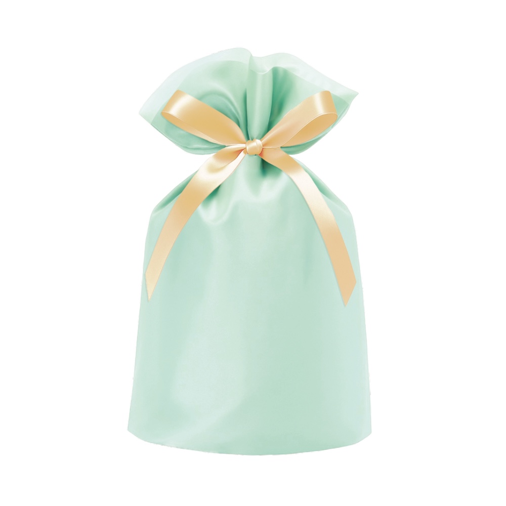 オーガンジーバッグ ブルー 190